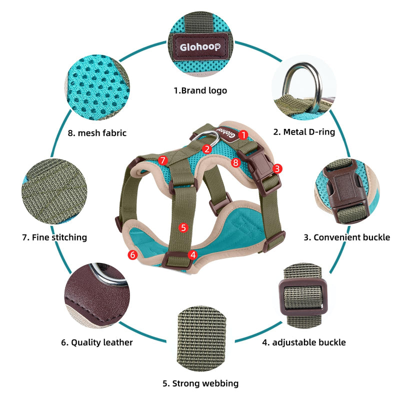 Small Dog Harness and Leash Set, Breathable Mesh Puppy Harness, Adjustable Dog Harness for Small Medium Large Dogs, No-Pull Pet Harness for Daily Walking (Lakeblue, Large) Lakeblue L - PawsPlanet Australia