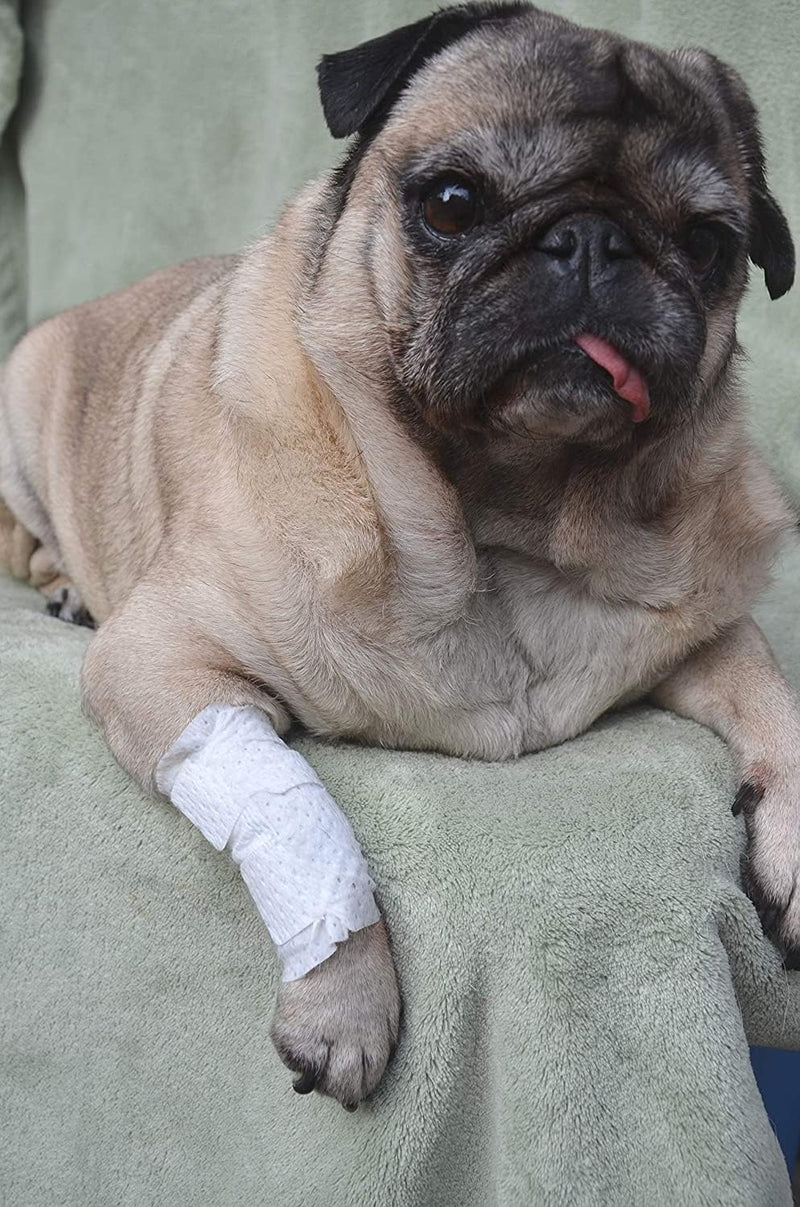 Joint and Large Area Wound Bandages for Dogs Cats & Other Pets. Great for Leg Joint sprains and Tail Injuries! Non Adhesive Breathable Non-Slip Disposable Washable Value Pack (Medium 12pk) White Medium 12pk - PawsPlanet Australia