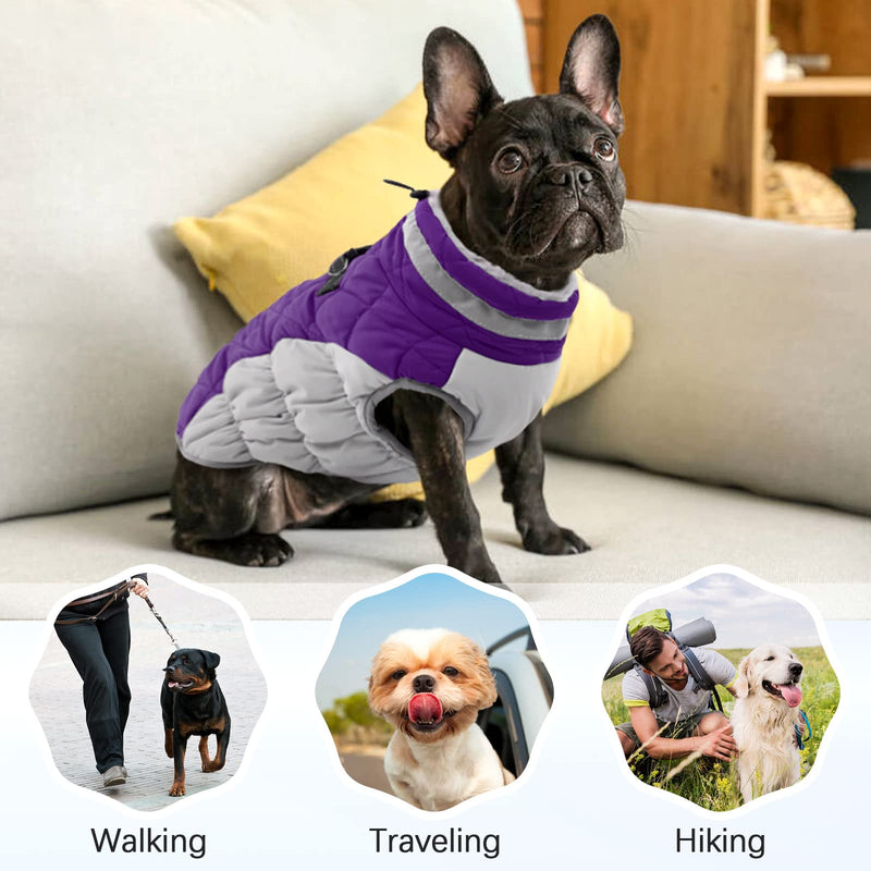 Dog Coat, Dog Jackets for Large Dogs, Dog Winter Coat with Harness Built in, Dog Cold Weather Coats Waterproof, Reflective Dog Snowsuit, Dog Winter Jacket Windproof Dog Puffer Jacket Purple 2XL XX-Large - PawsPlanet Australia