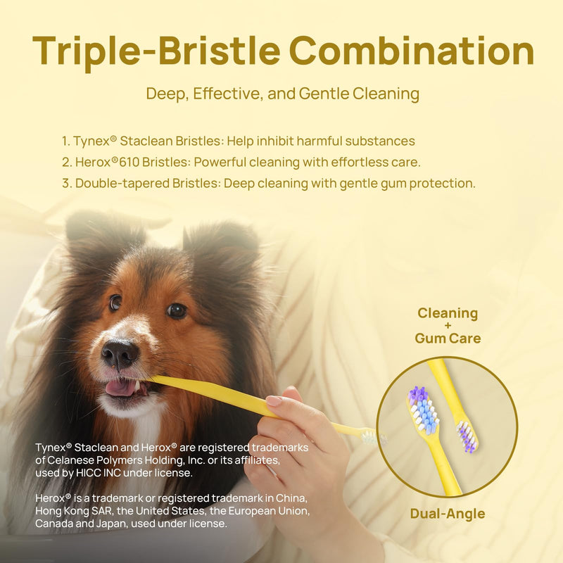 HICC PET Toothbrush for Cats & Small Dogs, Ergonomic Pet Toothbrush for Easy Teeth Cleaning, Gentle on Gums, Cat & Dog Dental Care, Improves Oral Hygiene, Toothpaste Not Included (Dual-Ended Yellow) Yellow Dual-head