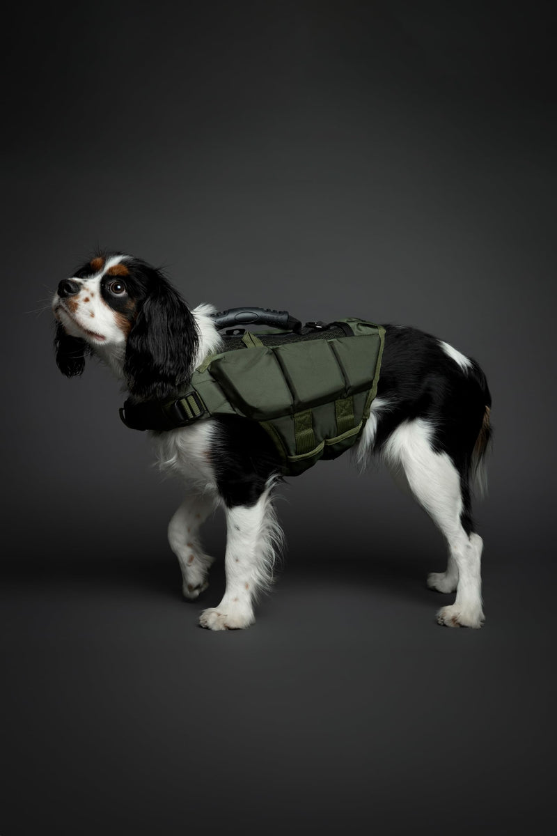 NOAH & PAW Dog Life Jacket, Human Standards Lifejacket Design, Dog Life Vest for Swimming and Boating, 3X Foam Support for Max Floating, Breathable Mesh, Salvavidas para Perros, Size M 3 Cubes - PawsPlanet Australia
