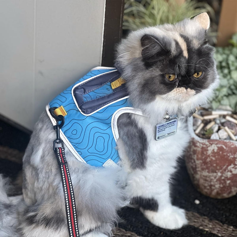TRAVEL CAT The Pathfinder Cat Harness with GPS Tracker Pocket - Powered by Tractive Cat Harness Escape Proof - Walking Escape Proof Harness for Small, Large Cat, Kitten (Blue, Large) Blue - PawsPlanet Australia
