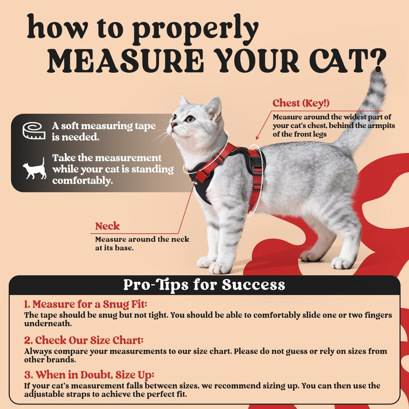 rabbitgoo Cat Harness and Lead Set, Escape Proof Kitten Harness with Leash, Metal Ring, Lightweight Soft, Reflective Adjustable Vest for Small Cat Walking Travel XS (Pack of 1), Black & Red XS (Pack of 1)