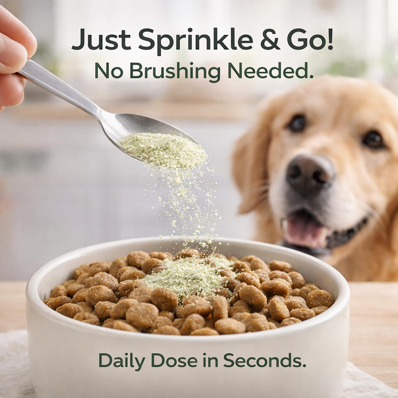Dental Powder DE-01 - Dog Dental Powder Supplement for Teeth Cleaning Powder to Reduce Plaque, Tartar Build-up, and Bad Breath, Oral Microbiome Balance - 2oz - PawsPlanet Australia