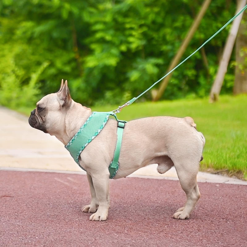 BINGPET Dog Harness and Leash Set,Reflective No Pull Dog Vest Harness Soft Mesh Breathable,Adjustable Step-in Pet Harness for Small Medium Dogs Puppy Cats(Green,L) Large Green(Mesh)-2pcs - PawsPlanet Australia