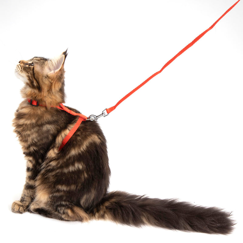 Love Story Cat Harness and Lead Kit 20 >30 x 1 cm / 120 x 1 cm Black
