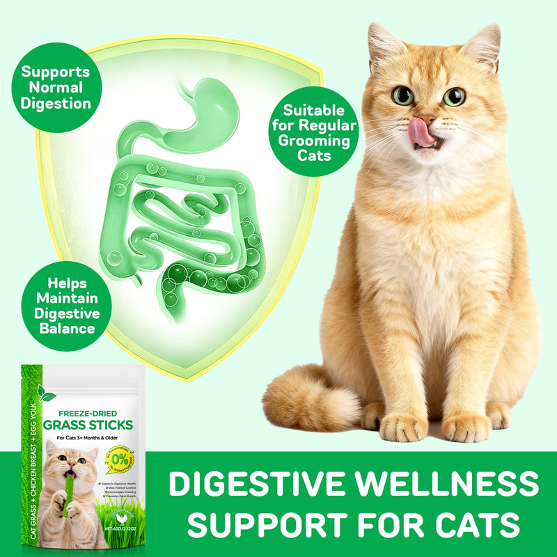 Cat Grass Sticks, Cat Grass Teething Sticks, Natural Oral Hygiene, Cat Treats for Teeth Cleaning and Hairball Removal - 60g