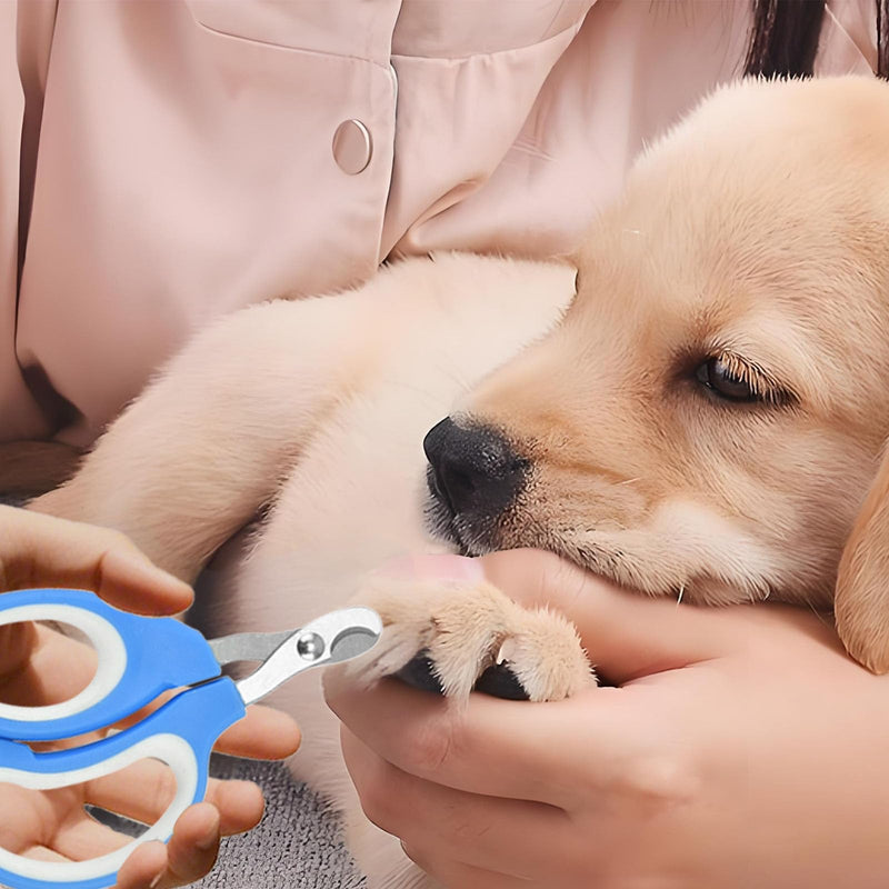 Zoocozy Pet Nail Trimmer, Cat Nail Trimmer cat Nail File Dog Nail kit Nail Trimmer is Suitable for Cats, Dogs, Guinea Pigs and Other Small Animals（Blue Colour） blue - PawsPlanet Australia