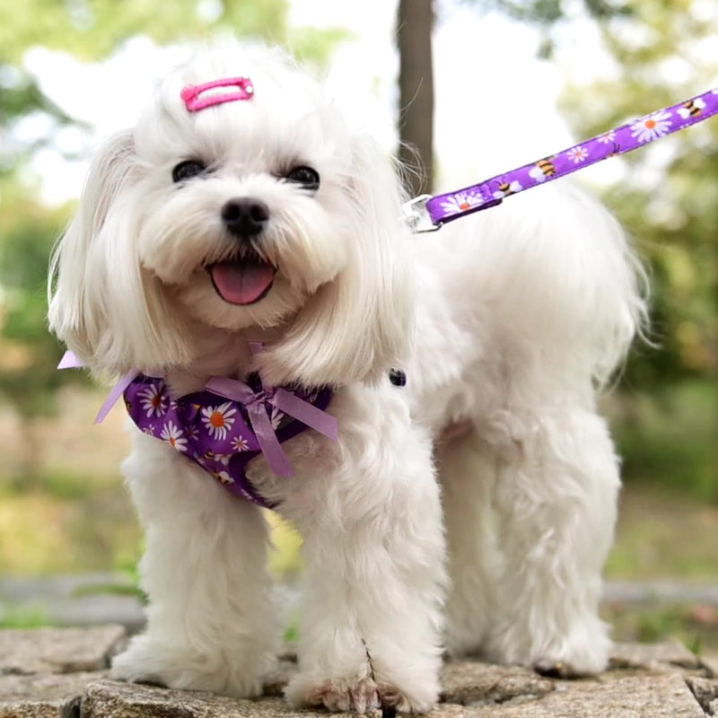 PUPTECK Dog Harness and Leash Set Small Sized, Step in No Pull Adjustable Puppy Cat Harness Reflective Pet Vest S (13-17lbs, Chest 15"-18") #2 Purple(Daisy Print) - PawsPlanet Australia