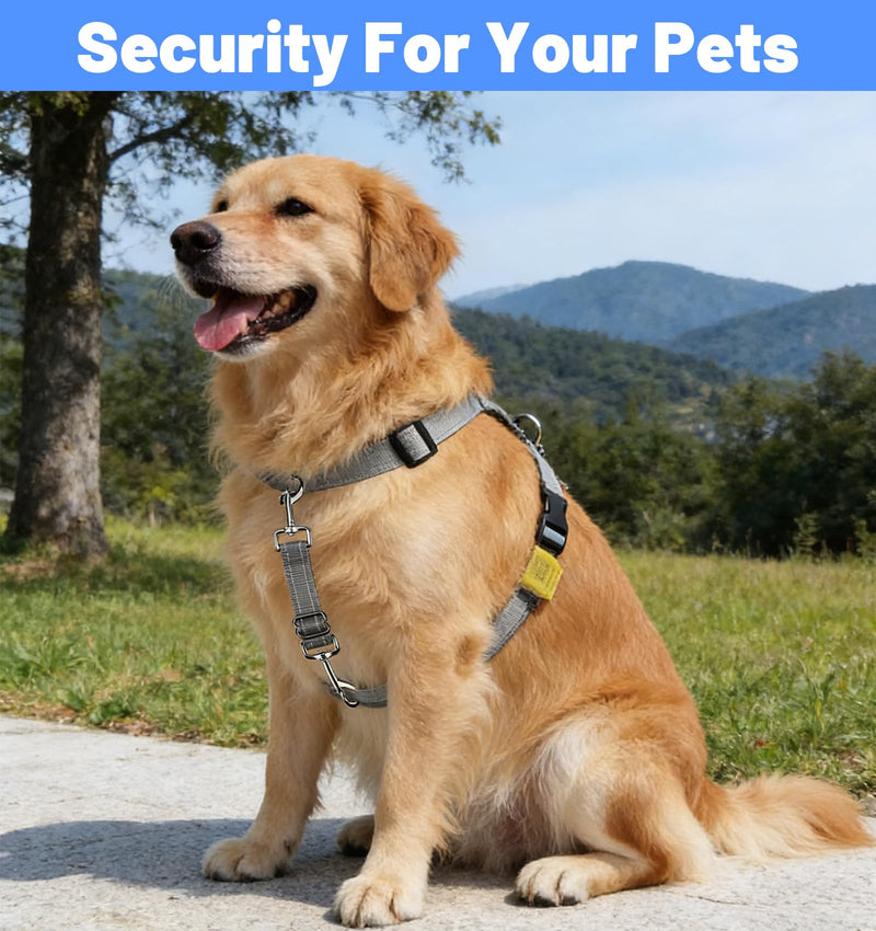 2 Pack Black Leash for Dogs, Adjustable Dog Leash Connector with Reflective Double Ended Backup Clasp, Leashes Connector for Harness to Collar (Grey & Black) - PawsPlanet Australia