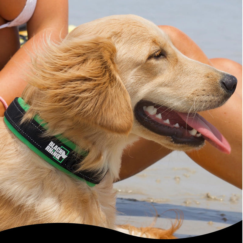 Black Rhino Dog Collars for Medium Dogs - Adjustable Reflective Heavy Duty Dog Collar with Ultra-Soft Neoprene Padding - Weatherproof, Durable, and Comfortable - Ideal for Active Dogs - Red and Black Red/Black - PawsPlanet Australia
