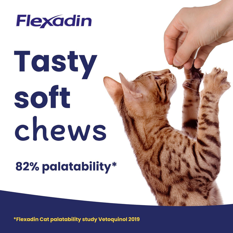 Flexadin Joint Care for Cats | Joint Supplement Chews for Cats | Aids Mobility & Flexibility | Glucosamine, Chondroitin, Omega 3 & Vitamin E | 60 Chews - PawsPlanet Australia