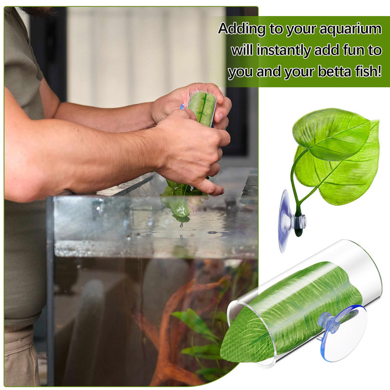 6 Pcs Betta Fish Acrylic Tube Tunnel Hollow Betta Fish Cave with Betta Fish Leaf Pad Betta Fish Tank Accessories for Aquarium Decor Fish Tank Accessories Decorations Shrimp Hideout Design Tube - PawsPlanet Australia