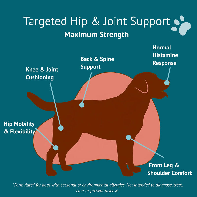 Hip & Joint Dog Chews – Glucosamine, Chondroitin, MSM, Turmeric & Collagen for Joint Health & Mobility – High-Potency Supplement for Dogs of All Breeds & Sizes – Active Lifestyle Support Hip & Joint - PawsPlanet Australia