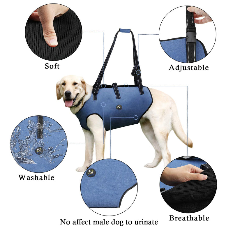 Coodeo Dog Lift Harness, Pet Support & Rehabilitation Sling Lift Adjustable Vest Breathable Straps for Old, Disabled, Joint Injuries, Arthritis, Loss of Stability Dogs Walk Blue Large - PawsPlanet Australia