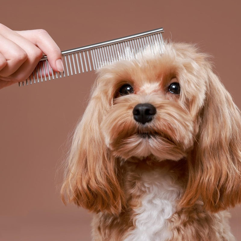 3 PCS Dematting Comb for Dogs Stainless-Steel Dog Comb Lightweight Metal Combs for Dogs Comfortable Dog Grooming Combs Effective Dematting Tool Portable for Cats Pets Knots Loose Hair Removal - PawsPlanet Australia