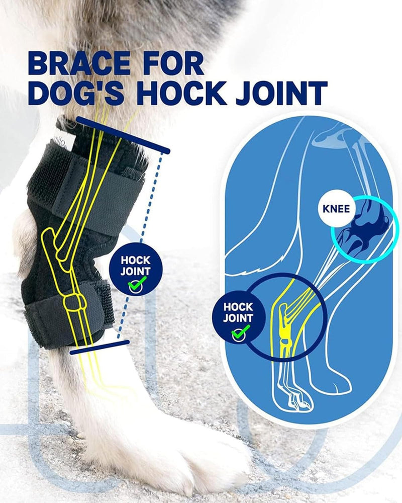 DAFNE Knee Pads for Dogs and Cats - Adjustable Knee Support for Patella Dislocation, for Rehabilitation of Ligament Tears, Arthritis & Joint Problems, Breathable Support Bandage for Fore/Rear Legs