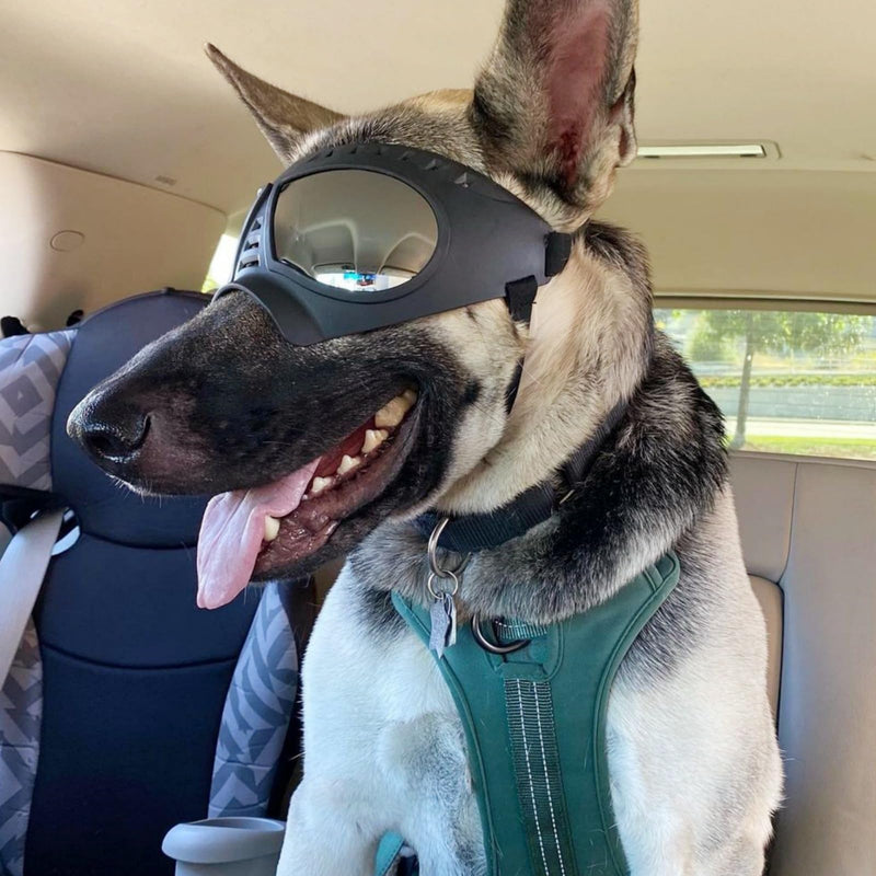 Namsan Dog Goggles for Large Dogs, Wide Snout & Soft Frame, Tactical Driving Sunglasses for Dogs Medium to Large Breed, Anti-UV Dog Eye Protection, Windproof Dustproof, Adjustable, Black (Large)Silver Lens - PawsPlanet Australia