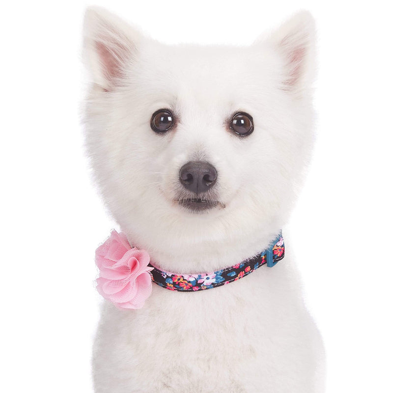 Blueberry Pet Made Well Elegant Floral Print Adjustable Dog Collar in Sleek Black with Pink Artificial Silk Flower, X-Small, Neck 7.5"-10"
