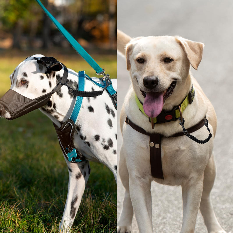 Dog Collar Safety Clip, Double Ended Prong Collar Safety Strap Backup Clasp Dog Harness Leash Connector Collars to Vests for Hiking Walking and Running - PawsPlanet Australia