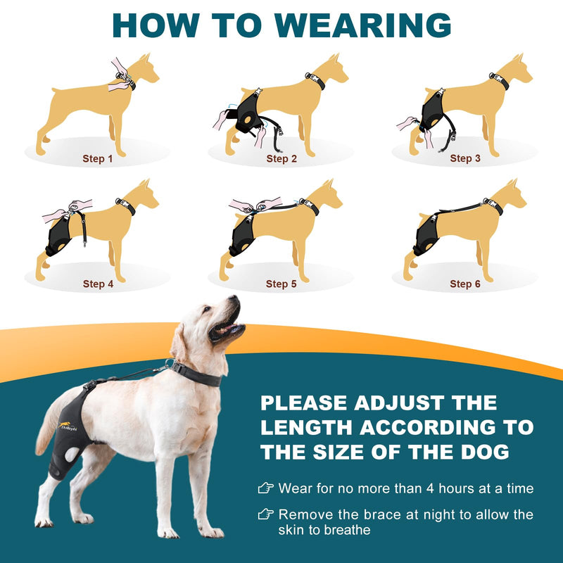 Dog Knee Brace for Torn ACL Hind Leg, Support for Patella Dislocation or Osteoarthritis, Cruciate Ligament Injuries, Cut-out Non-slip Wrap Promotes Patellar Stability,Patent Pending(Right Leg,M) Right Leg(gasket) M