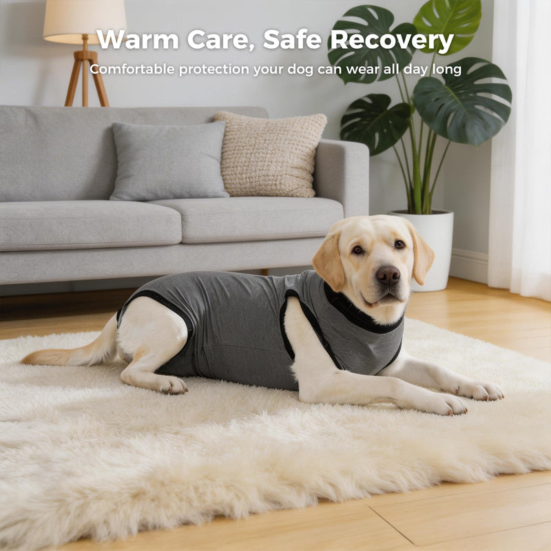 Avont Dog Surgery Recovery Suit, Anti-Licking Surgical Bodysuit for After Spay & Neuter, E-Collar Alternative for Wound Care, Comfortable Onesie for Female & Male Dogs - Grey (XL) XL