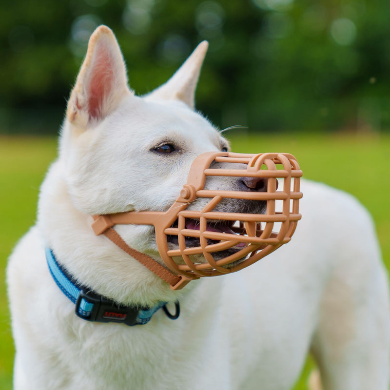 Baskerville Classic Basket Muzzle - Dog can Pant and Drink, Prevents Biting and Food Waste Scavenging, Strong TPR, Ideal for Longer Nosed Dogs, Breathable Dog Training Muzzle for Medium Dogs (Size 4) - PawsPlanet Australia