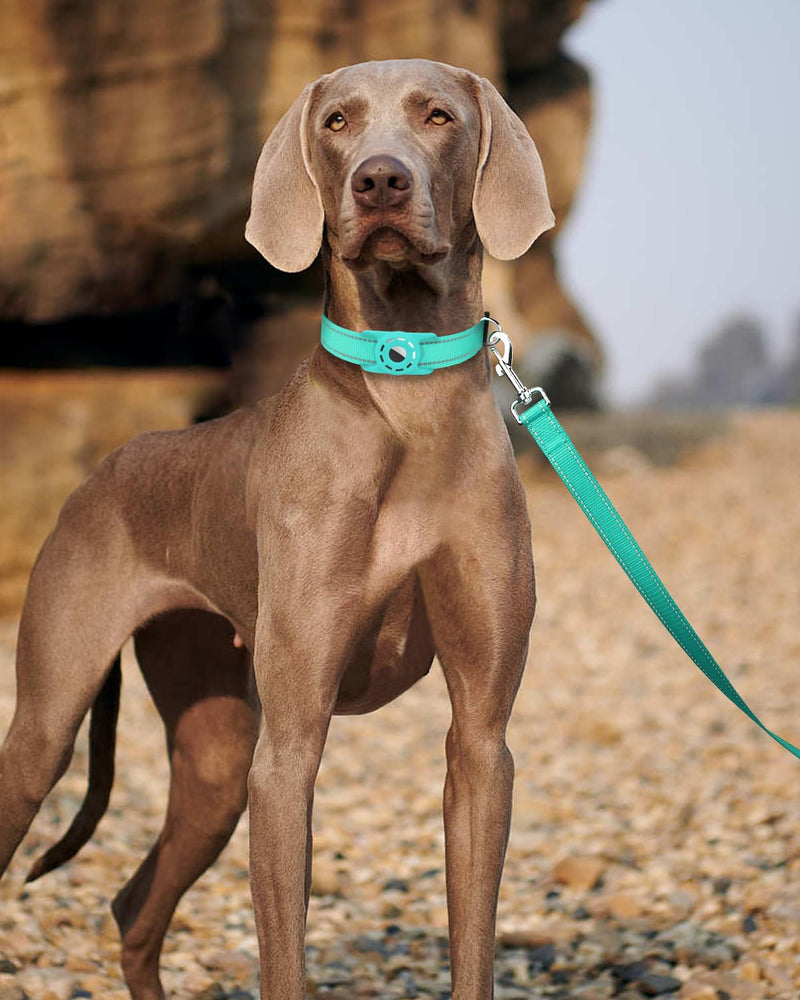 6ft Dog Leash for Small Medium Large Dogs | One-Sided Reflective Nylon | Padded Handle | 3/4 inch Wide | Turquoise 3/4"*6' - PawsPlanet Australia