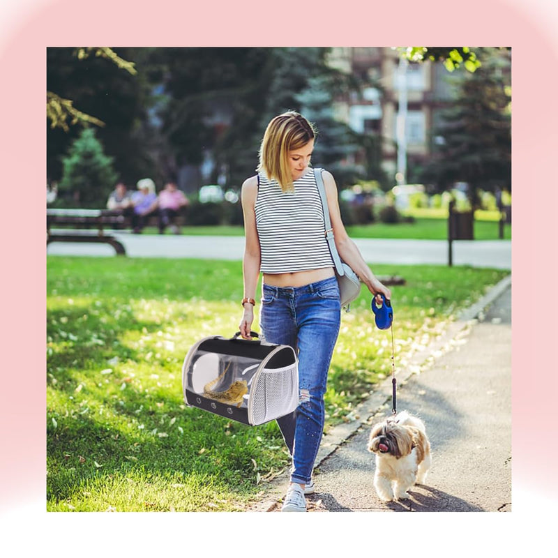 Small Animal Travel Backpack Carrier,Portable Bearded Dragon Bag for Sugar Glider,Hedgehog,Rat,Bunny,Rat,Outdoor Used (Black, Carrier L+ I Leash) Black - PawsPlanet Australia