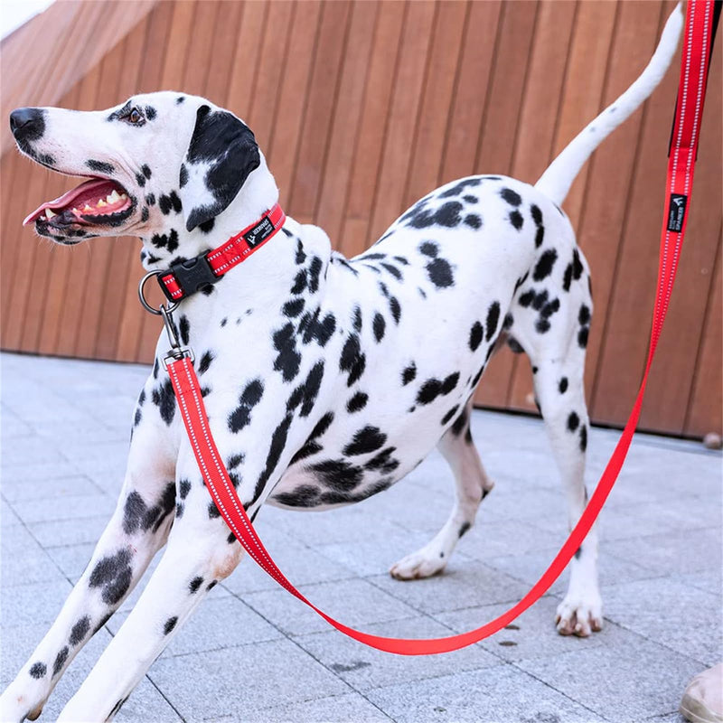 EXCELLENT ELITE SPANKER Strong Durable Nylon Dog Training Leash Traction Rope 4 Feet Long 1" Wide with Handle for Small and Medium Dog(Pink) 4.3ft x 1 in. Pink - PawsPlanet Australia