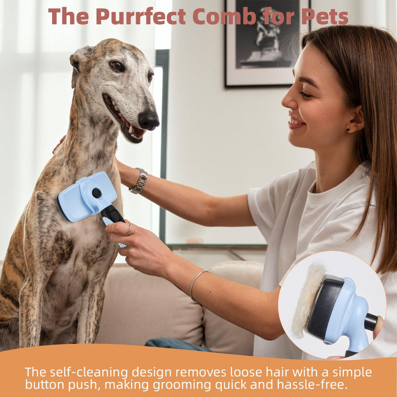 3PCS Cat & Dog Brush Set: Slicker & Deshedding Brush, Dematting Comb, and Bath Brush – Premium Grooming Tools for Shedding & Tangle-Free Fur (blue) blue - PawsPlanet Australia