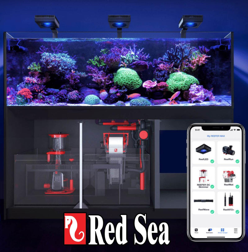 Red Sea Reef SPEC Aquarium Carbon 100 gm Box | Highly Activated Charcoal for Aquariums and Fish Tanks Freshwater Saltwater Marine