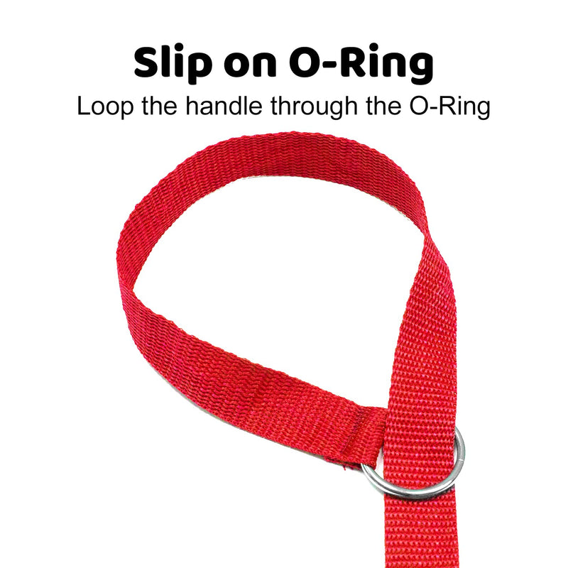 Downtown Pet Supply - 6ft Dog Kennel Slip Lead - Veterinarian, Grooming, Daycare & Rescue Supplies - One Size Leads for Dogs Bulk - 1" Thick 24 Pack - PawsPlanet Australia