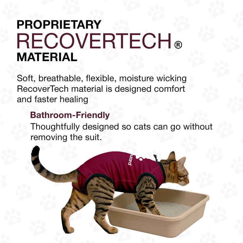 Bellyguard Cat Recovery Suit for Female and Male, Cat Surgery Suit Alternative, Onesie for After Spay Care, Post-Surgery Protective Body Cover for Feline and Kitten Healing XSmall+ Maroon