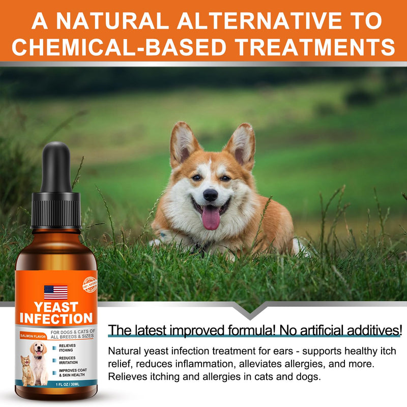 Natural Yeast Infection Treatment for Dogs