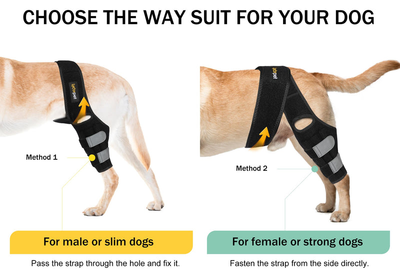 Dog ACL Knee Brace for Torn Hind Leg, Rear Leg Braces for Dogs Luxating Patella, Flexible and Strong Support Metal Splints Joint Care Easy to Put On and Off Braces for Back Leg Medium M - PawsPlanet Australia