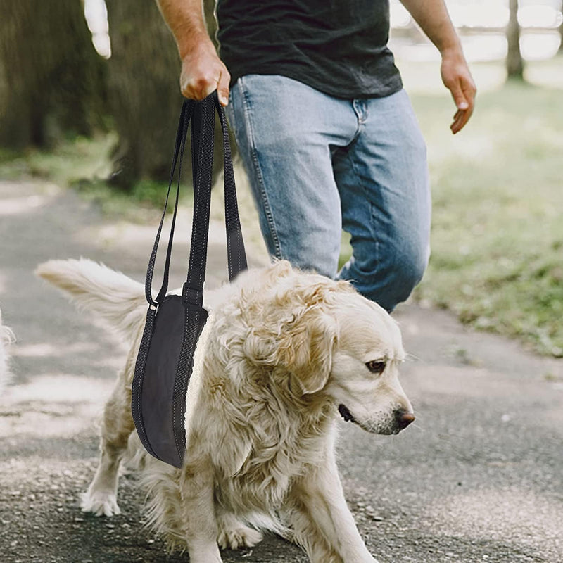 LOOBANI Portable Dog Sling for Back Legs, Hip Support Harness to Help Lift Dogs Rear for Canine Aid and Old K9 Cruciate Ligament Rehabilitation Large - PawsPlanet Australia