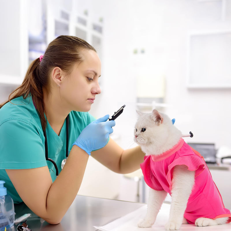 Avont Cat Recovery Suit - Post-Surgery Onesie for Cats, Alternative to Cone of Shame, Protective Spay Suit for Female Kitten, Ideal for Healing and Skin Conditions -Magenta(S) Magenta Small