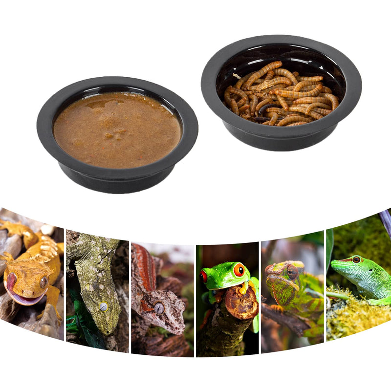 WACOOL Magnetic Reptile Ledge, Acrylic Gecko Feeding Ledge with 6PCS Cups, Reptile Food Water Feeder Dish for Geckos Iguana Chameleon Pets (Cups) Feeding Cups 50PCS - PawsPlanet Australia