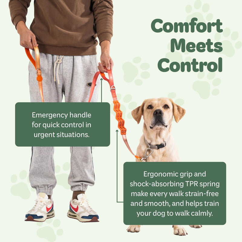 Desired Things Bungee Dog Leash Reflective Training Leash with Shock Absorbent Spring, Emergency Pull Handle, Collar Latch, D-Ring Buckle for Dog Treats, Poop Bags, Puppy Essentials - Pink and Orange - PawsPlanet Australia
