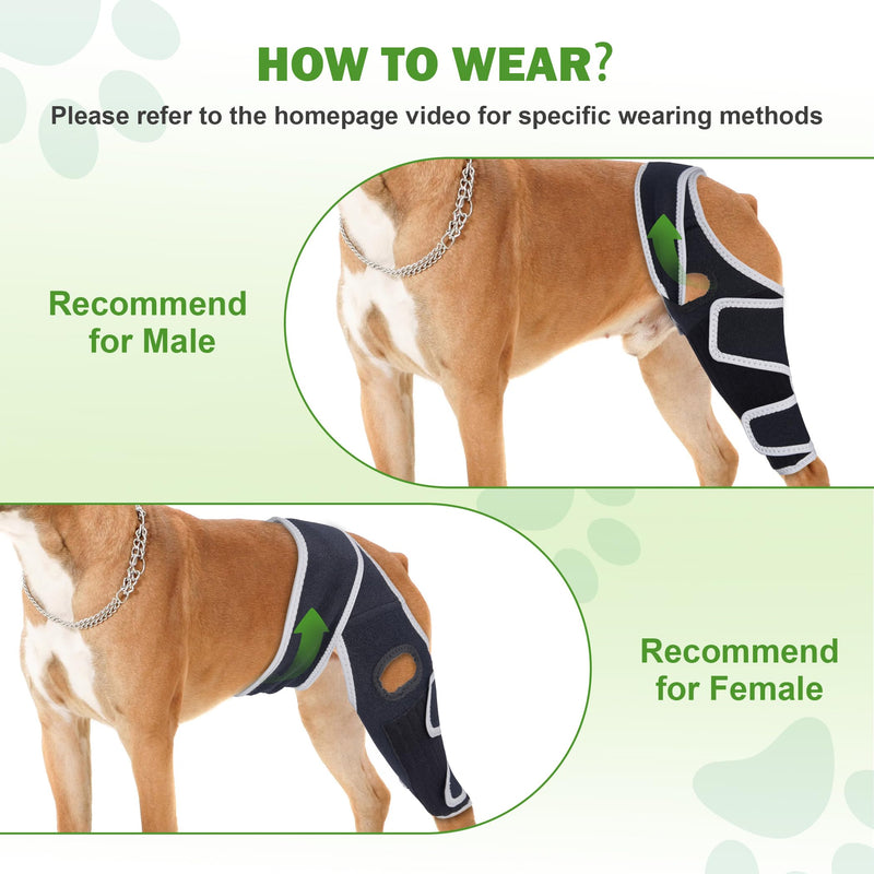 Dog Knee Brace – Strong, Lightweight Support for ACL and CCL Injuries, Promotes Healing, Improves Walking Ability, and Enhances Daily Activity for Active Dogs, XL Blck