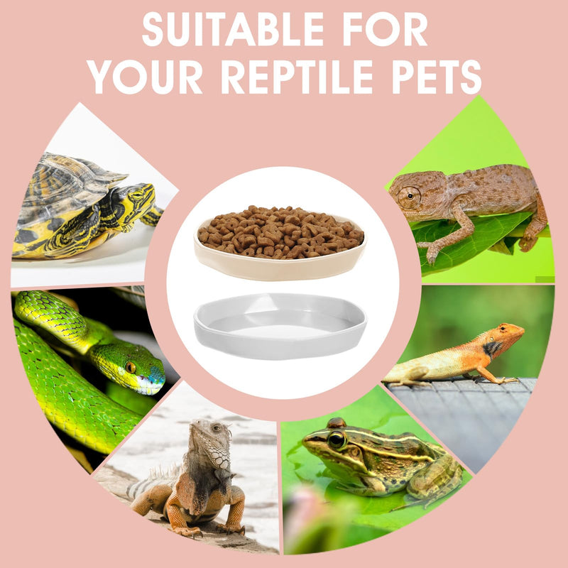 4 Pcs Reptile Dish,Round Plastic Water Dish for Reptile Tank,Food Dishes Lizard Tank,for Lizard, Turtle, Gecko, Snake, Bearded Dragon,4.45" W x 4.45" D x 0.6" H(4 Color) - PawsPlanet Australia