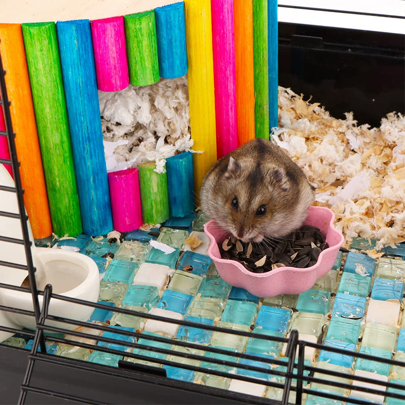 3 Pcs Hamster Food Bowl Small Cute Shape Food Dish for Hamster Rat Mice and Other Small Animals (Pink, Green and Blue)