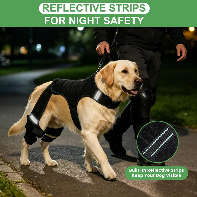 Dog Knee Braces for Torn ACL Hind Leg, Adjustable Dog Leg Braces with Stabilizers, Dual Hind Leg Support to Reduce Pain from Arthritis, Ligament Injury, Hip Dysplasia, Luxating Patella,M M
