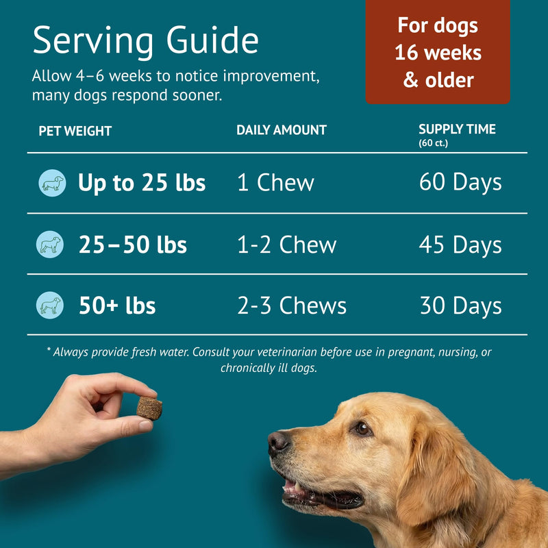 Hip & Joint Dog Chews – Glucosamine, Chondroitin, MSM, Turmeric & Collagen for Joint Health & Mobility – High-Potency Supplement for Dogs of All Breeds & Sizes – Active Lifestyle Support Hip & Joint - PawsPlanet Australia