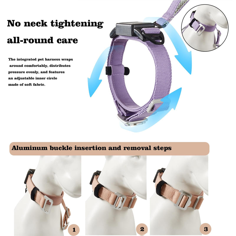 Retractable Dog Leash Collar for Small Medium Dogs - Chew Resistant Kevlar Rope, 5FT Silent Auto-Retraction - 2025 One-Piece with Cotton Padded Adjustable Neck (Purple, M) Purple - PawsPlanet Australia
