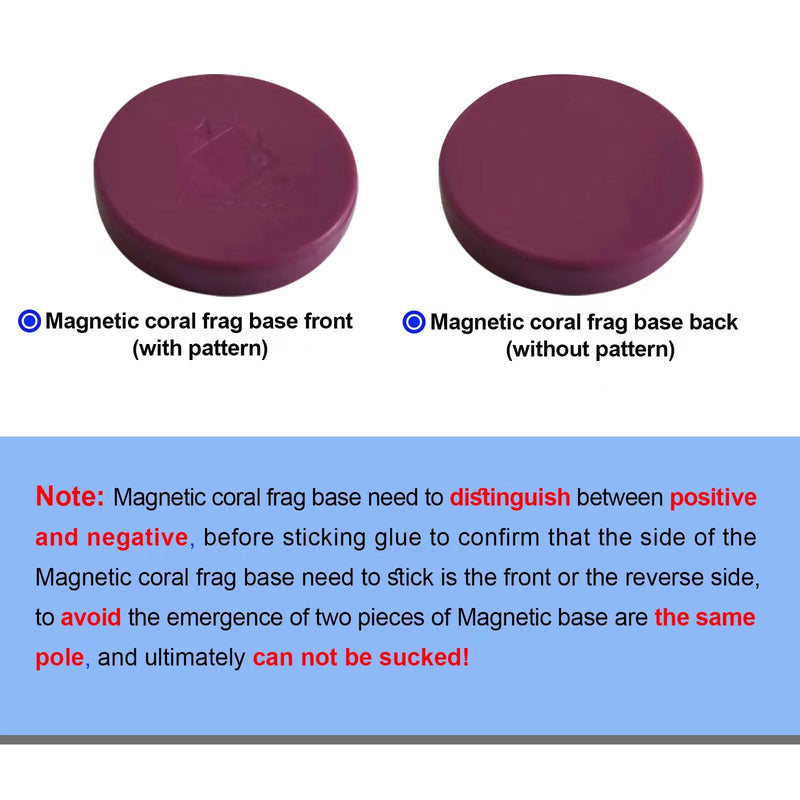 Coral frag Magnetic Base, Coral frag Magnetic Plugs,Waterproof Magnetic Coral frag Base, Purple, Round 10-Piece Set Coral Frag Magnetic Base(purple, Round 10pcs) - PawsPlanet Australia
