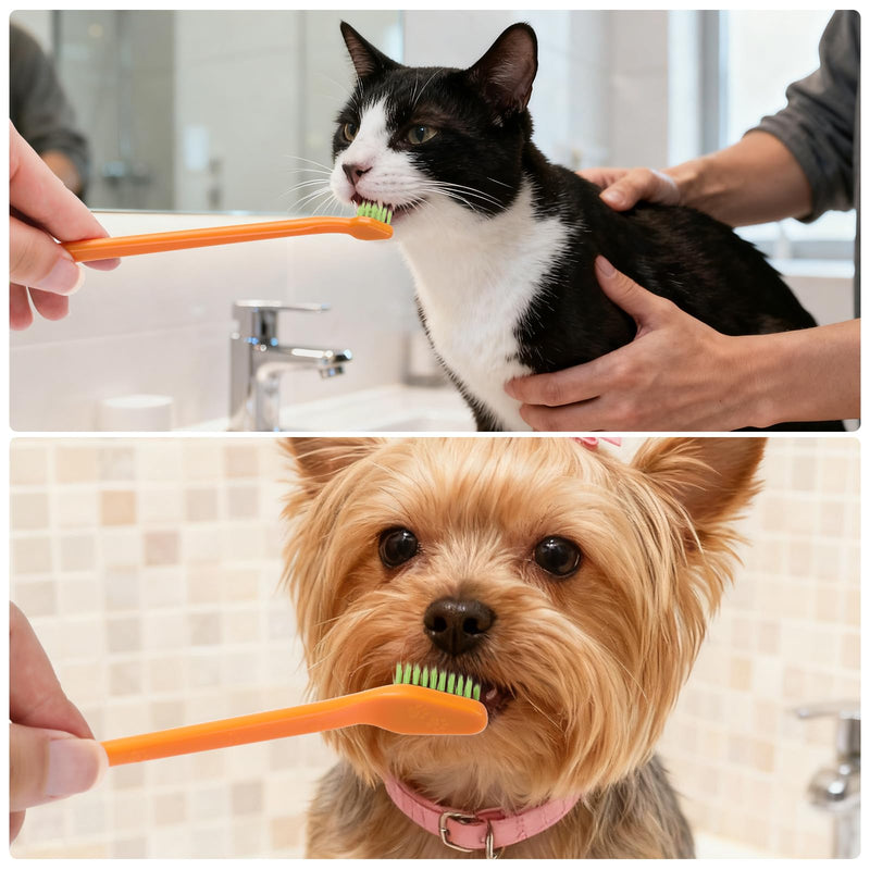 Dog Toothbrush Kit - 4 Double Head & 3 Finger Toothbrushes for Dogs and Cats, Soft Bristles for Teeth Cleaning & Dental Care, Non Slip Pet Tooth Brushes for Small/Large Pets 1-Pcs - PawsPlanet Australia