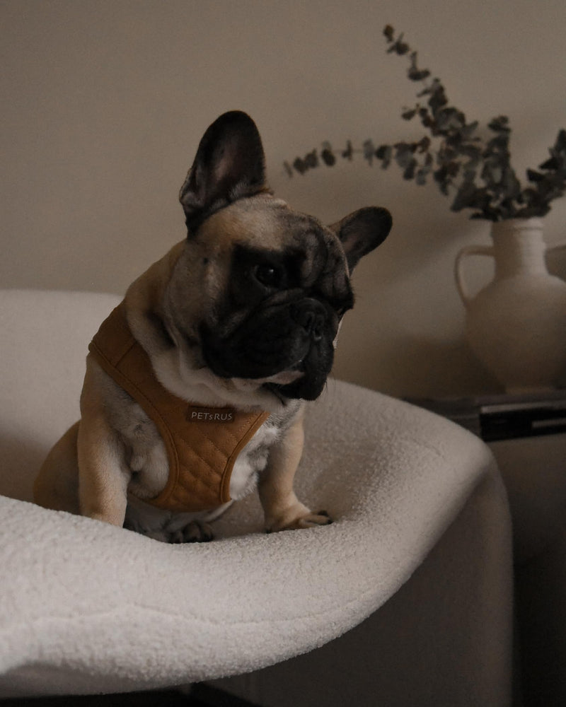 Step-in Dog Vest Harness Classic Quilted Design Vegan Leather Reflective Lightweight Breathable Mesh Soft White Taupe Brown Durable Stylish Pet Accessory (Tan Brown, Small) Tan Brown Small: Neck=9.4-11.4''/Chest=14.5-17'' - PawsPlanet Australia