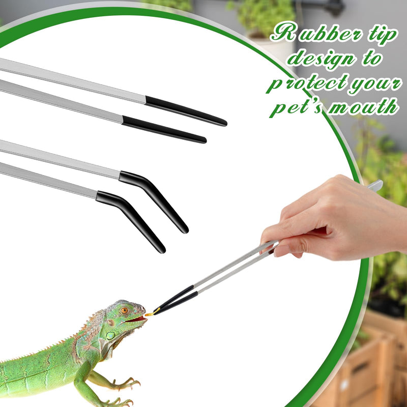 2 Pcs Extra Long Stainless Steel Reptile Feeding Tongs with Rubber Tip Bearded Dragon Aquarium Straight and Curved Long Tweezer Terrarium Feeder Tool for Tank(Silver, 10 Inch, 10.5 Inch) Silver - PawsPlanet Australia